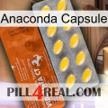 Anaconda Capsule 42